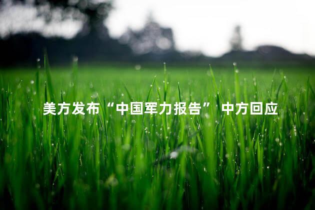美方发布“中国军力报告” 中方回应